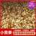 【推荐】生姜全国发货坏烂包赔【主推*电商出口商超市