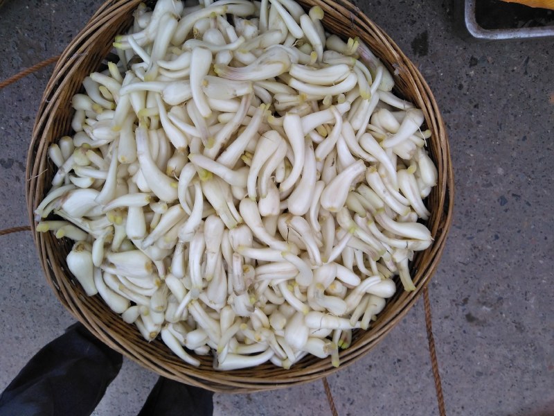新鲜藠头