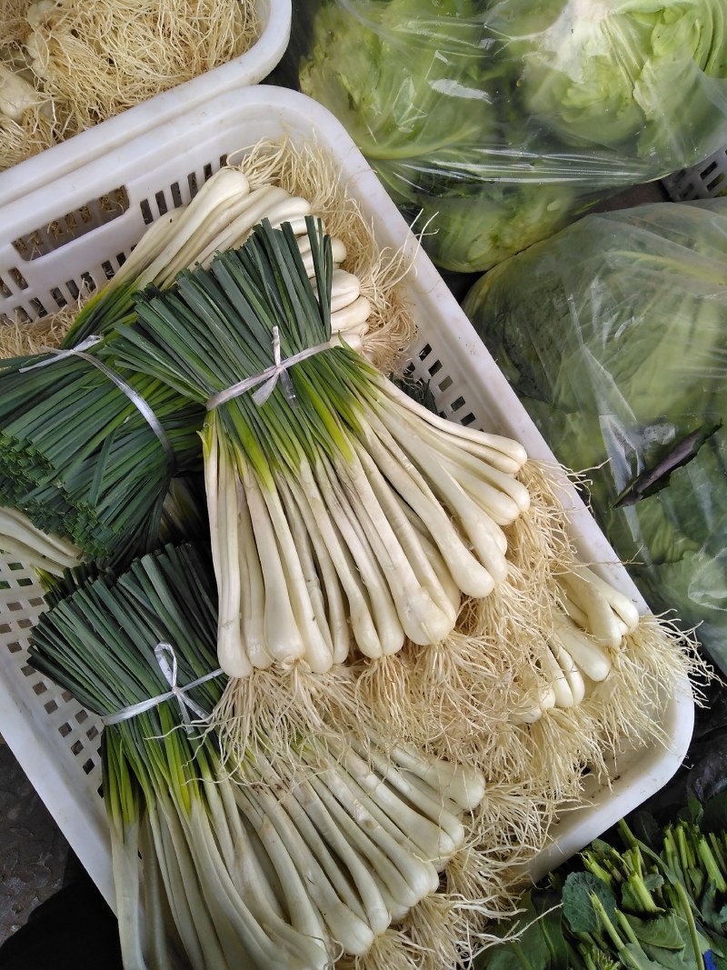 新鲜藠头