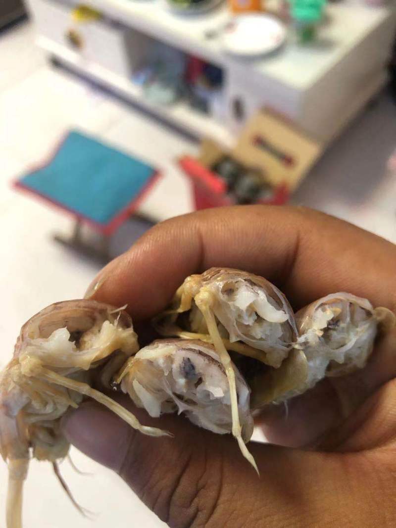微商电商团购爆品，熟冻皮皮虾，个头均匀，价格冰点。