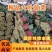 山东菠菜优质大叶菠菜,量大叶青无土价格便宜量大从优