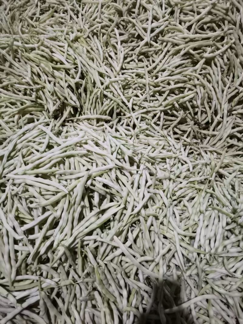 莒南县道口镇曹家庄子村芸豆大量上市现货现货