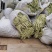 莒南县道口镇曹家庄子村芸豆大量上市现货现货