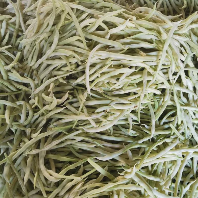 莒南县道口镇曹家庄子村芸豆大量上市现货现货