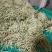 莒南县道口镇曹家庄子村芸豆大量上市现货现货