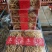 产地发货人参须，白参须，经济实惠，可以泡水炖鸡，