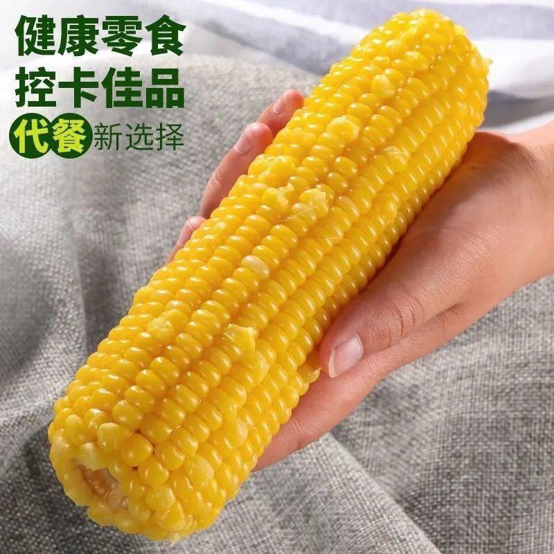 【当季鲜货】新鲜玉米非转基因香糯甜黄玉米棒真空包装黏粘玉