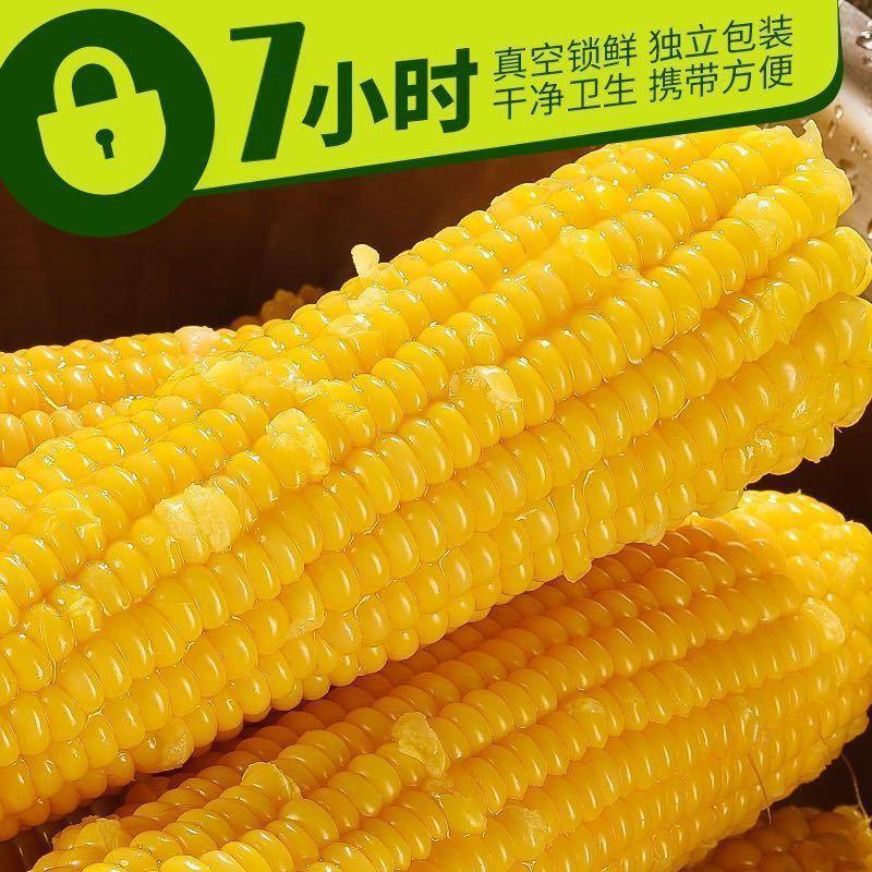 【当季鲜货】新鲜玉米非转基因香糯甜黄玉米棒真空包装黏粘玉