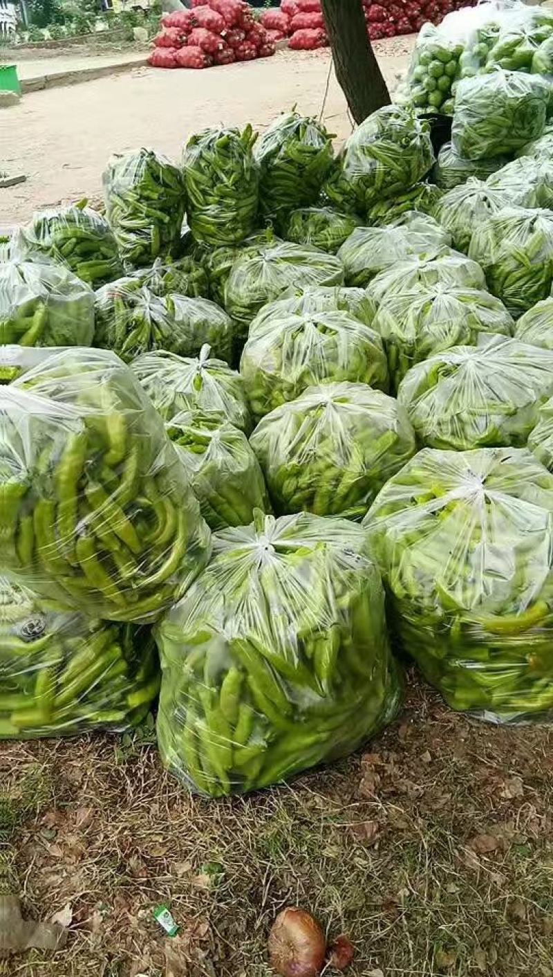 辣椒黄皮辣椒，质量保证，诚信代收专业代办，可视频看货