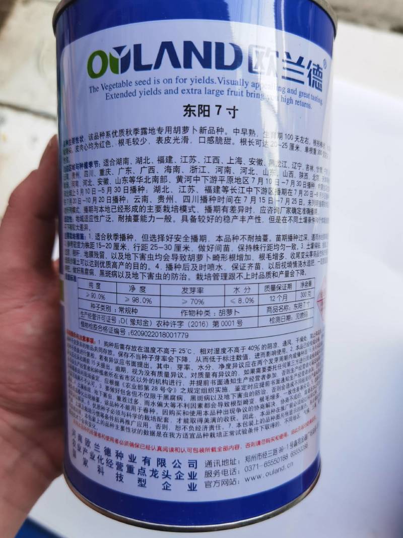 胡萝卜种子，欧兰德日本进口特级三红东阳七寸，高产基地大田