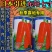 胡萝卜种子,欧兰德日本进口特级三红东阳七寸,高产基地大田