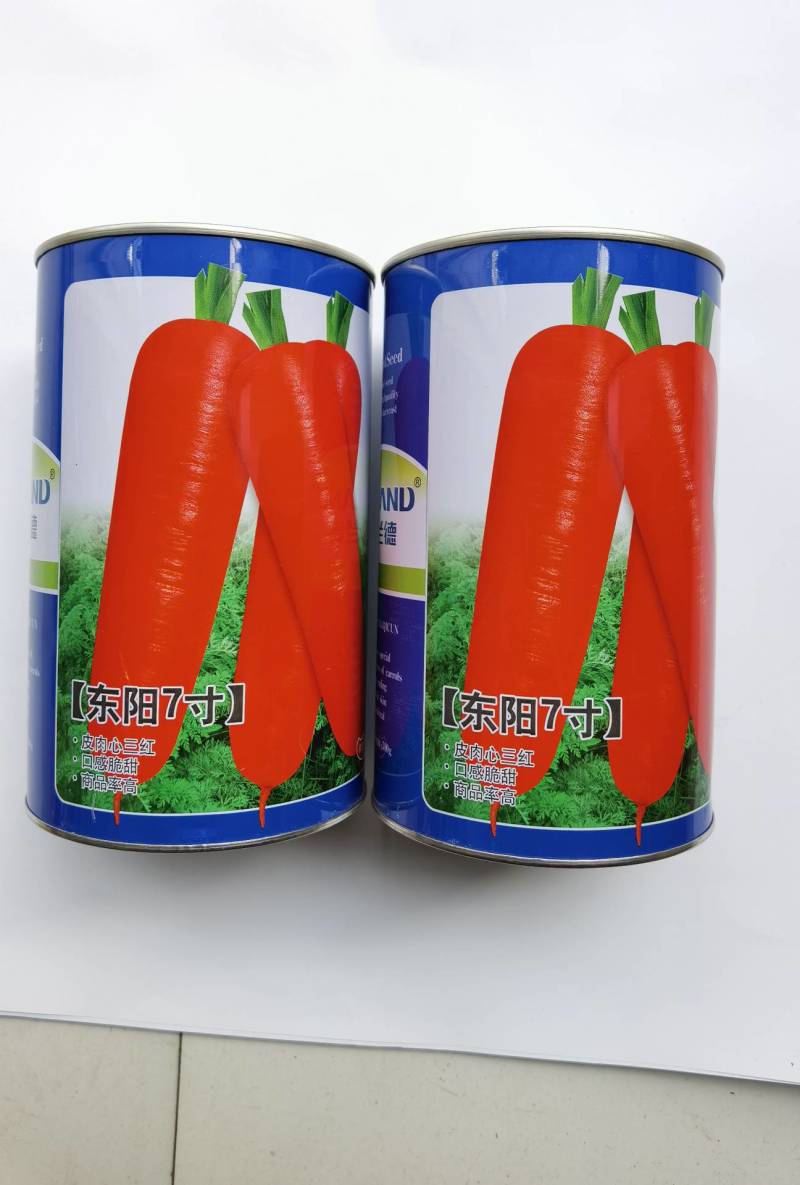 胡萝卜种子，欧兰德日本进口特级三红东阳七寸，高产基地大田