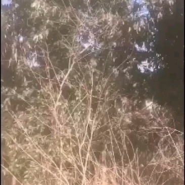土地