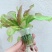 无土栽培蔬菜设备家庭阳台管道式水培种菜机自动化多层水耕种