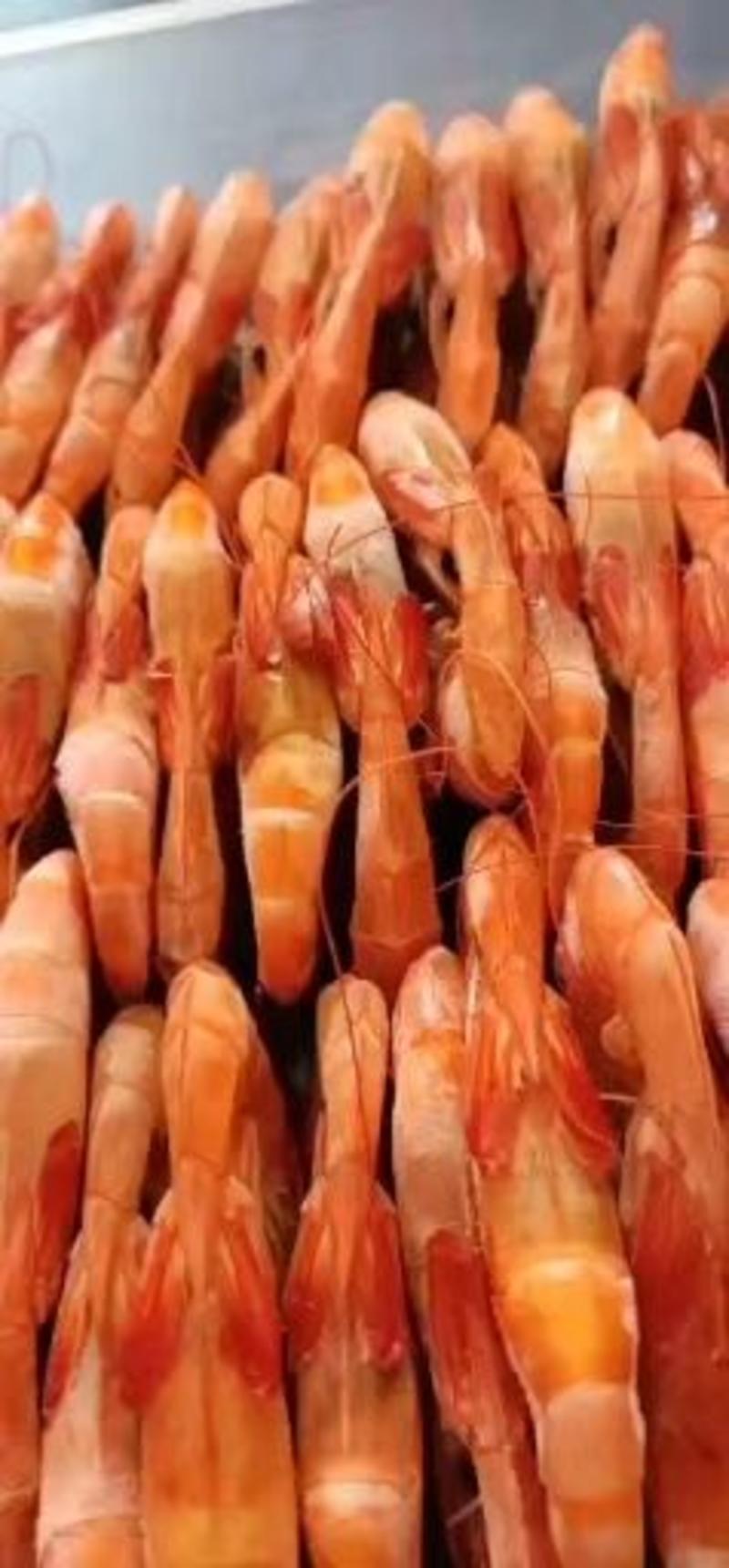 烤虾，对虾干，肉质紧实特别有嚼劲，自家加大量现货供应