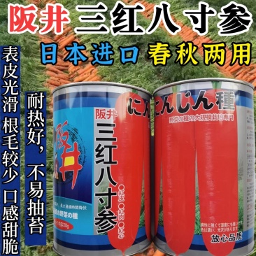 阪井八寸参胡萝卜种子日本进口红萝卜特级三红基地高品质