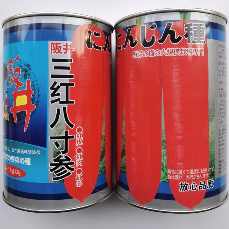 阪井八寸参胡萝卜种子日本进口红萝卜特级三红基地高品质