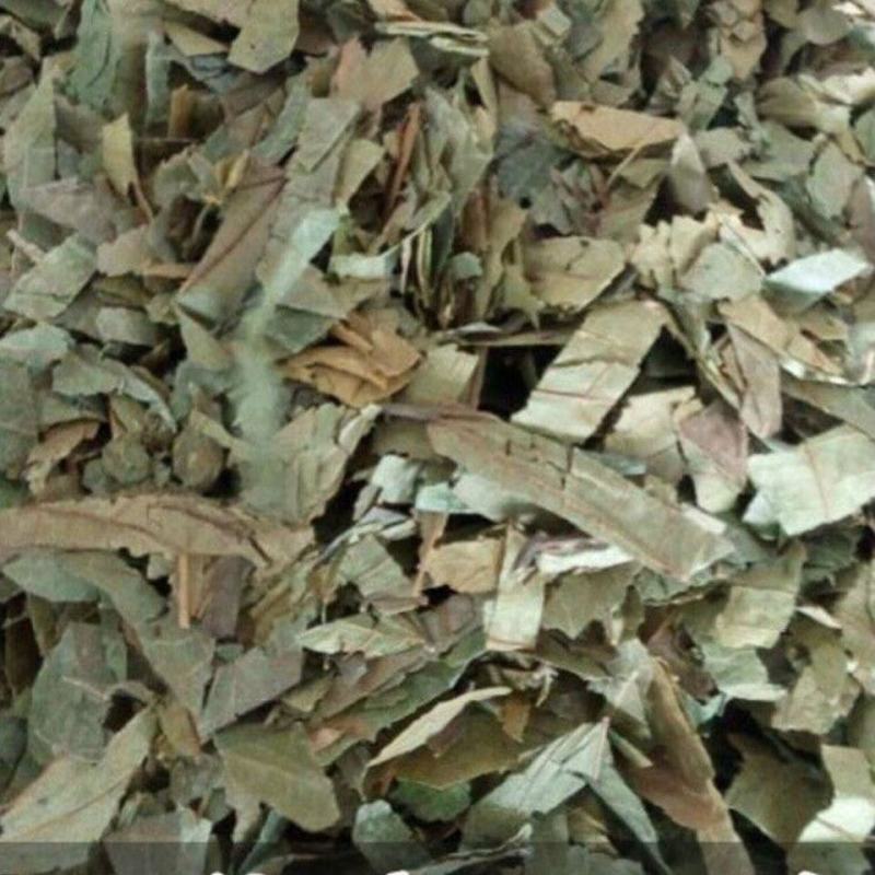 布渣叶产地直发货好要多优惠代抓各种药方