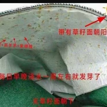 生态袋土工布袋
