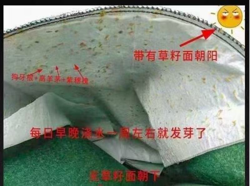 生态袋土工布袋