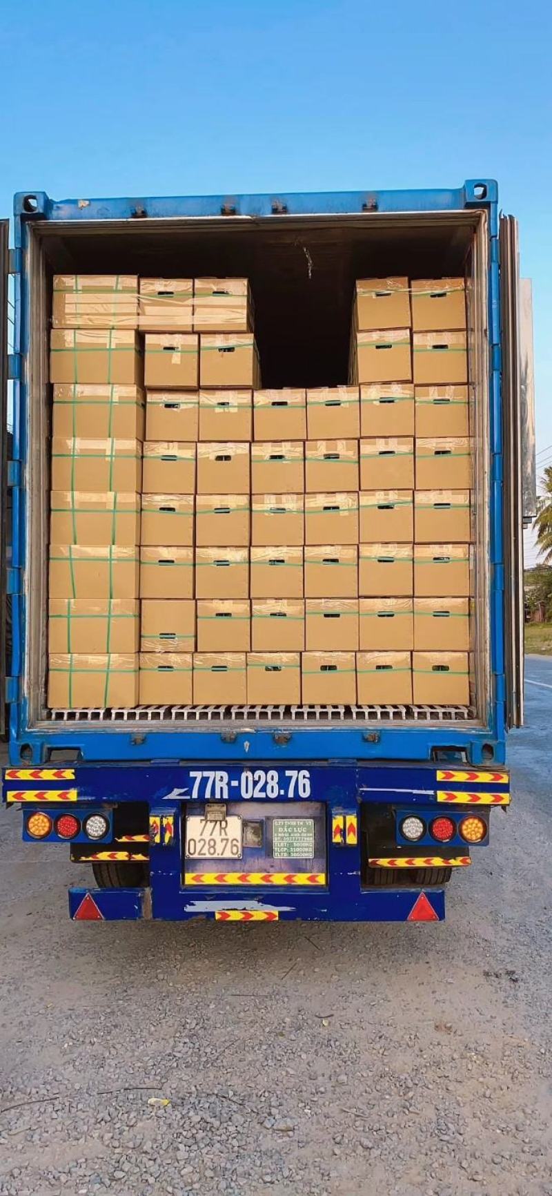 越南进口红心青皮红心柚产地一手货源直销批发