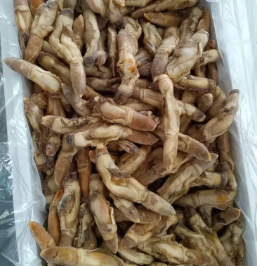 大蛏子肉一箱20斤一斤30头左右