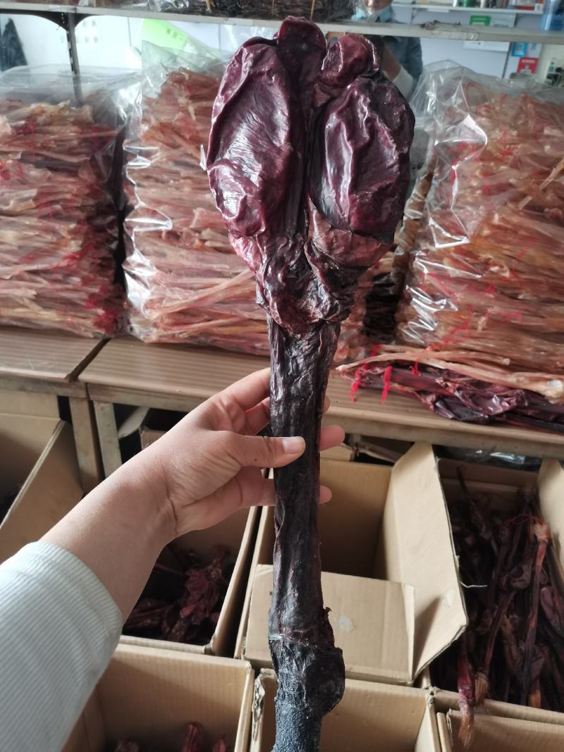 驴鞭无硫无添加滋补养身可泡酒正品两根起包邮