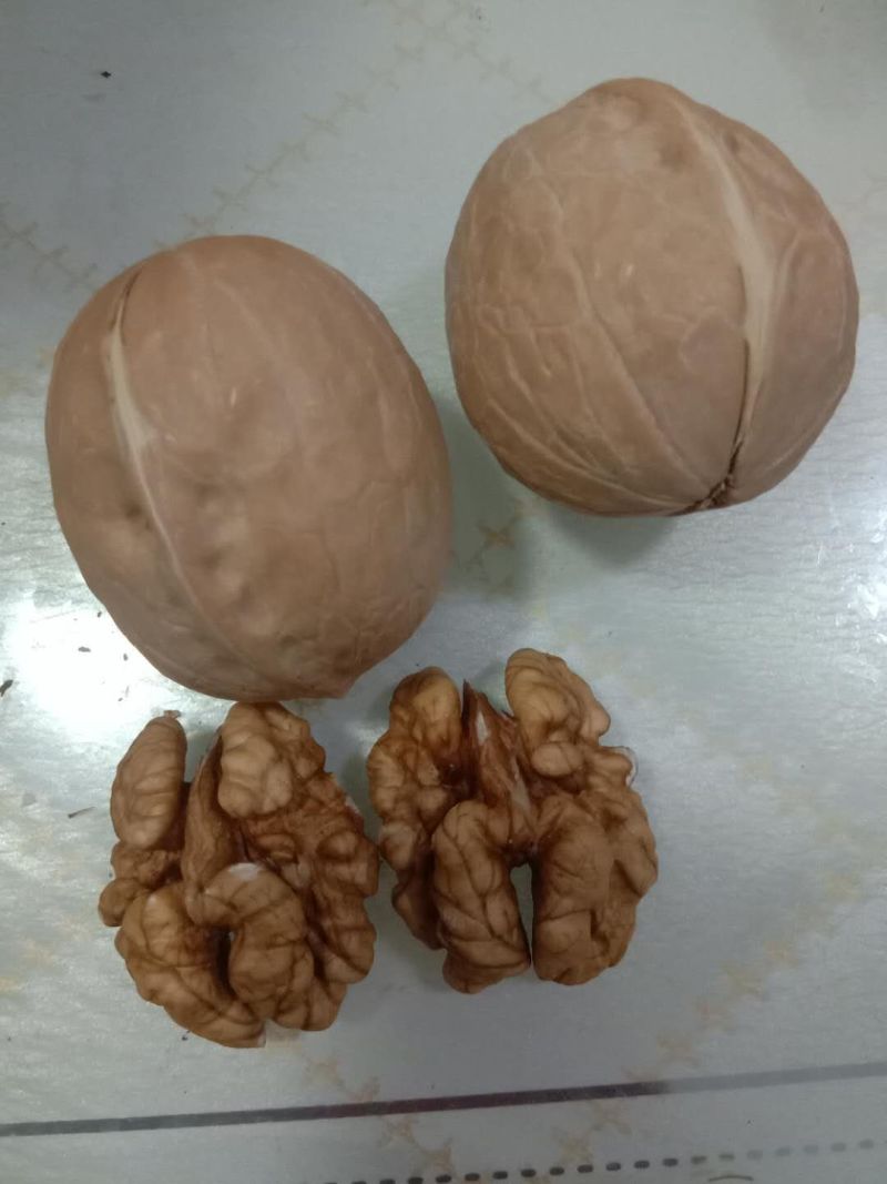 厂家直供新疆薄皮核桃，批发幸福核桃质优价廉
