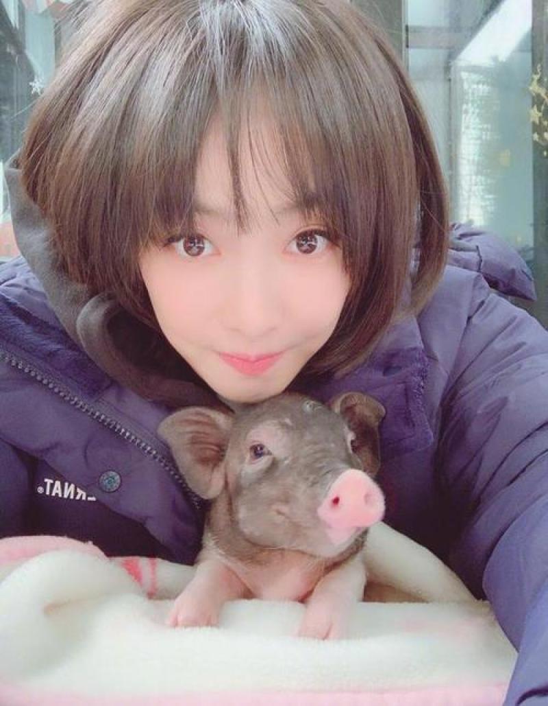小香猪可爱小宠爱了爱了爱就爱了爱爱爱爱爱