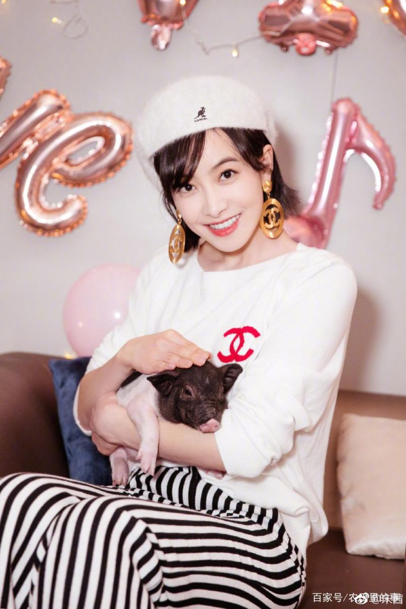 小香猪可爱小宠爱了爱了爱就爱了爱爱爱爱爱