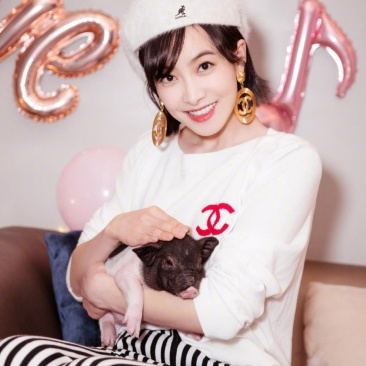 小香猪可爱可爱可爱的