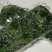 荠菜速冻荠菜野菜地皮菜荠菜馅，整棵速冻荠菜