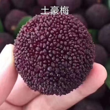 水果