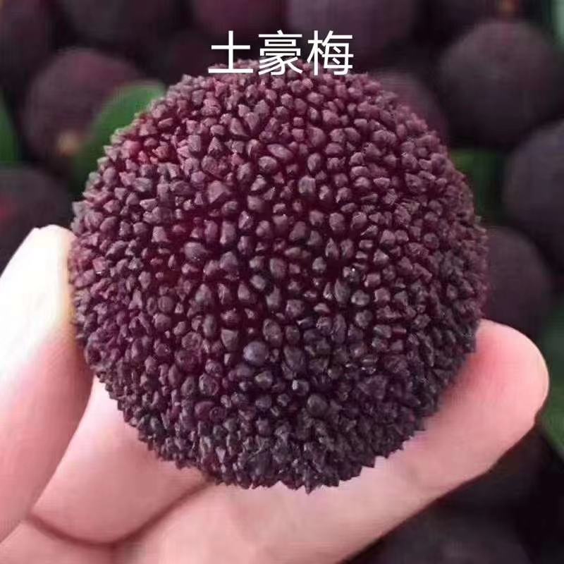水果