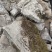 龟纹石假山，青色龟纹石，草坪石，千层石等各类假山石材