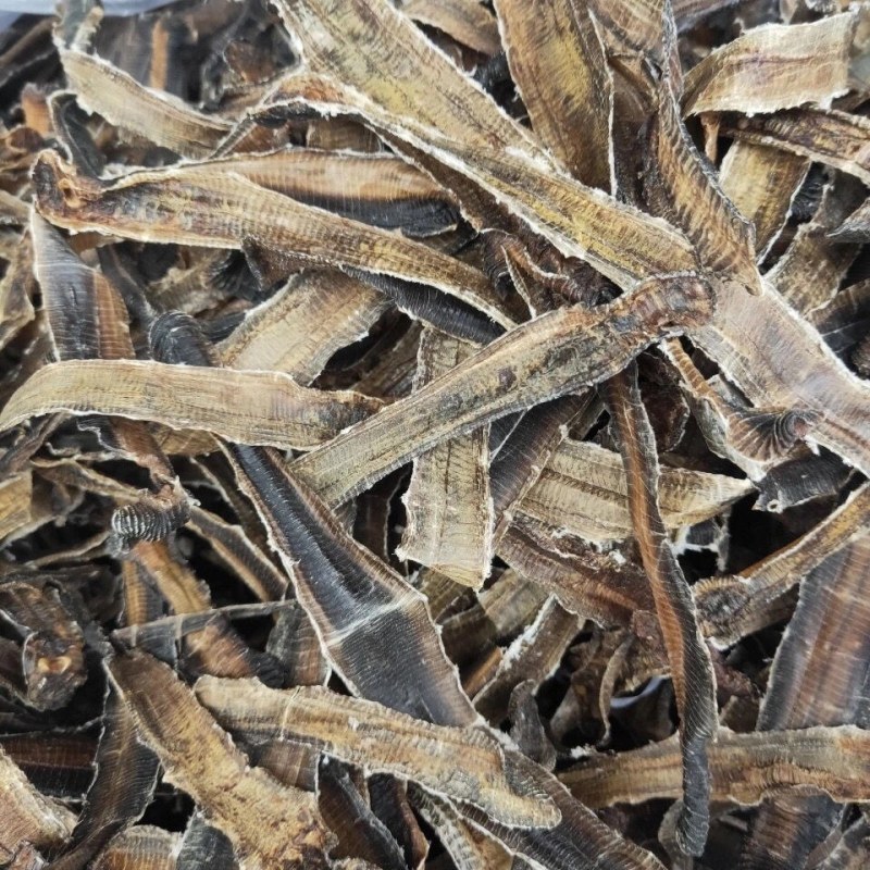 中药材地龙全开地龙蚯蚓干干地龙中药材广地龙蚯