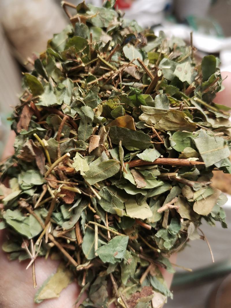 鸡骨草无硫新鲜干货切段叶带梗一公斤起