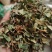 鸡骨草无硫新鲜干货切段叶带梗一公斤起