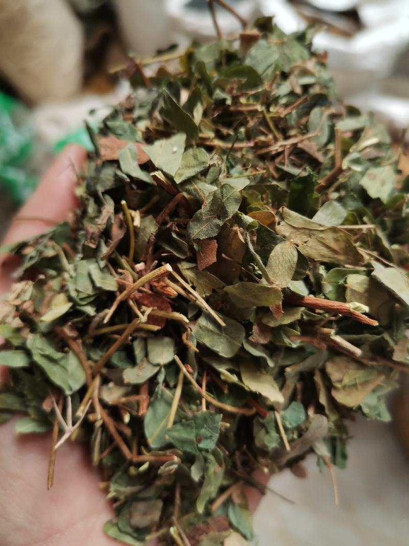 鸡骨草无硫新鲜干货切段叶带梗一公斤起