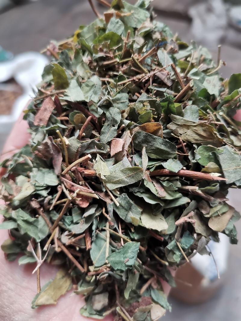 鸡骨草无硫新鲜干货切段叶带梗一公斤起