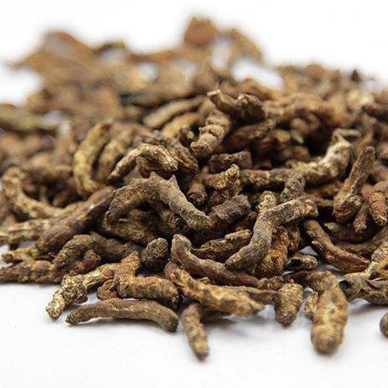僵蚕白僵蚕中药材白僵虫粉炒僵蚕僵蚕僵虫正