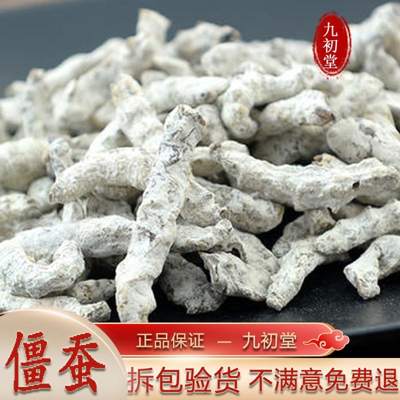 僵蚕白僵蚕中药材白僵虫粉炒僵蚕僵蚕僵虫正