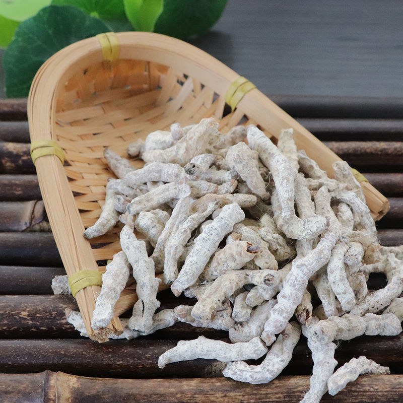 中药材正宗无硫精僵蚕白僵蚕中药材僵蚕量大从优