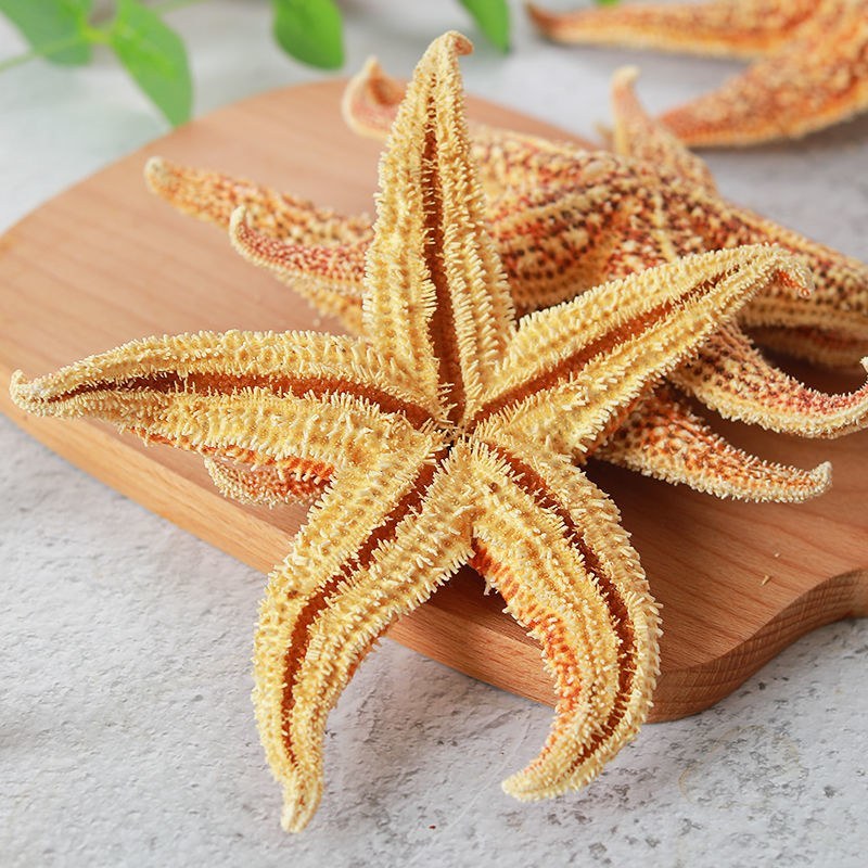 中药材精选【泡酒海星海五星海盘车海星干货煲汤