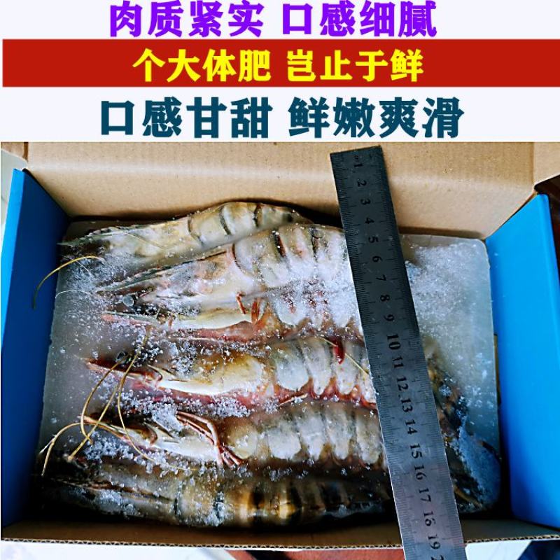 每盒净重1斤6条大鬼虾新鲜海捕急冻特大老虎虾斑节虾九节虾