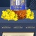 粮辰家宴食用油纯香菜籽油三级菜籽油非转基因5L家庭装
