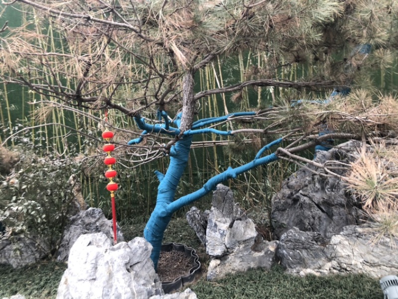 树木防寒缠树布包树绷带保湿袋园林防冻绿化布