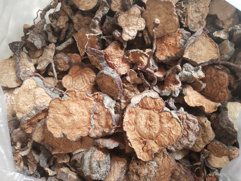 湖北野生何首乌干片，菊花型野生何首乌圆片干货包邮