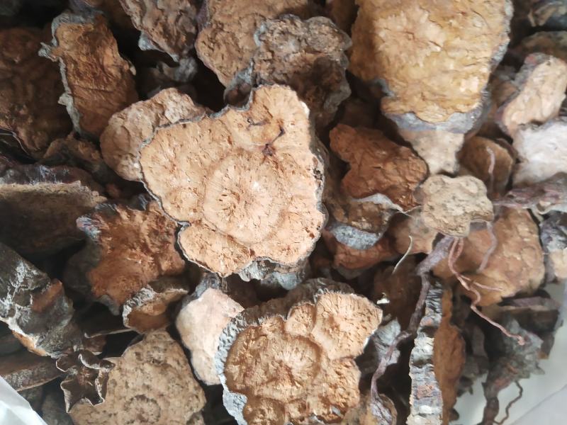 湖北野生何首乌干片，菊花型野生何首乌圆片干货包邮