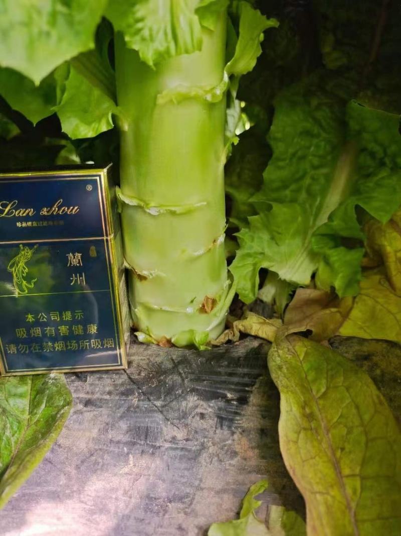 大量红笋上市